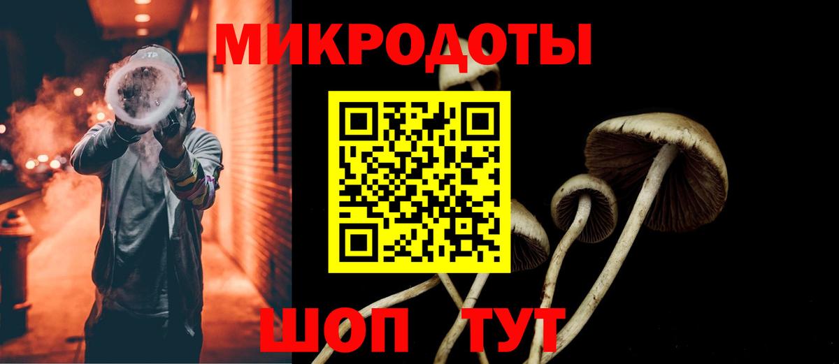 Каменск-Шахтинский  Псилоцибиновые грибы прущие грибы  Вход с VPN  Галлюциногенные грибы Psilocybine cubensis 